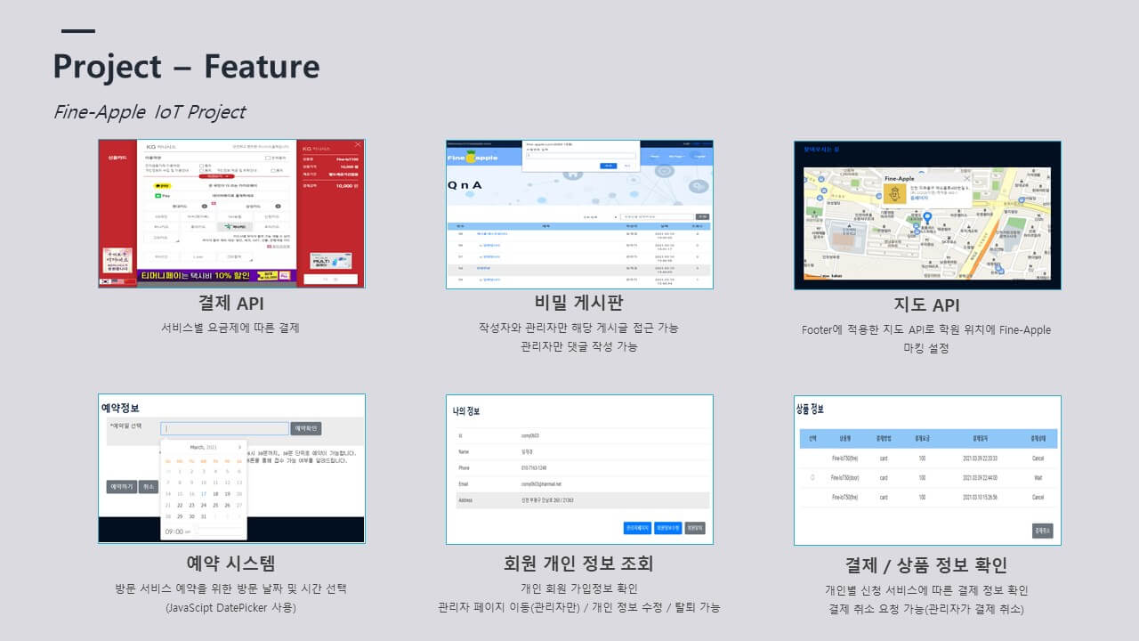 ICIB-Portfolio