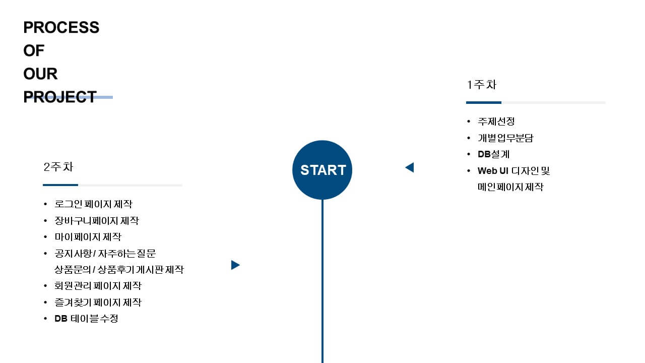 ICIB-Portfolio